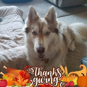 Meet your Posher, Ra h